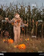 Image result for Halloween Scarecrow Corn Field