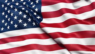 Image result for United States American Flag