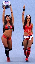 Image result for Fearless Gear WWE Nikki Bella