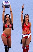 Image result for Nikki Bella in WWE Outfits