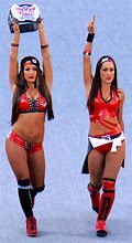 Image result for WWE Nikki Bella Costume