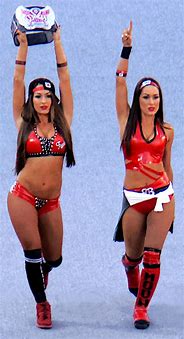 Image result for WWE 2K20 Nikki Bella