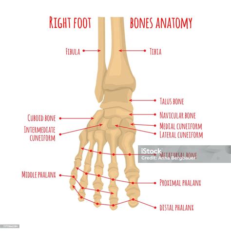 Image result for Abstract Example for APA Paper