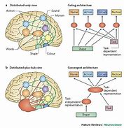 Image result for Semantic Memory Examples