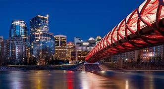 Image result for Local Companies in Calgary
