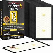 Image result for Cricket Traps Indoor