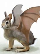 Image result for Rabbit Bat