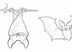 Image result for How to Color a Cute Little Bat