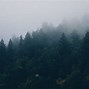 Image result for Forest Wallpaper PC