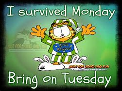 Image result for Funny Cartoons About Tuesday