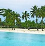 Image result for Bahamas Cute