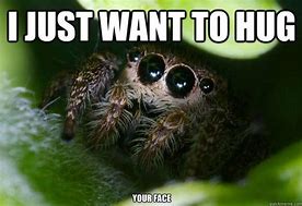 Image result for Good Morning Spider Meme