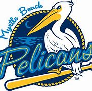 Image result for Pelicans Logo Vector SVG Clear