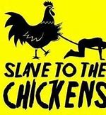 Image result for Funny Chicken Memes Clean