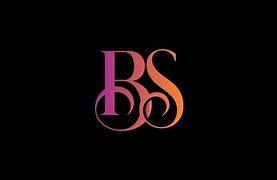 Image result for BS Group Logo
