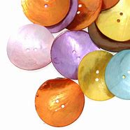 Image result for Abalone Shell Buttons