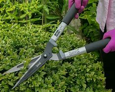 Image result for Best Garden Scissors