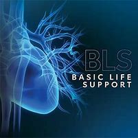 Image result for BLS Basic Life Support