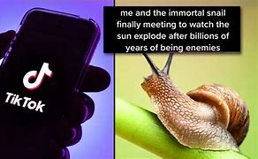 Image result for The Immortal Snail Meme