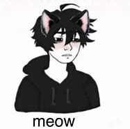 Image result for Cat Boy Meme