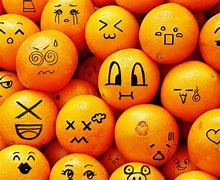 Image result for Cute Orange Things