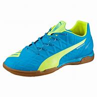 Image result for Puma Indoor Soccer Shoes