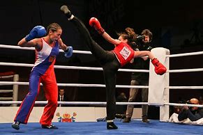 Image result for savate fighting
