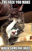 Image result for Funny Hugs