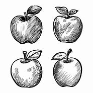 Image result for Apple Illustration
