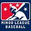 Image result for Minor League Baseball Team Logos List