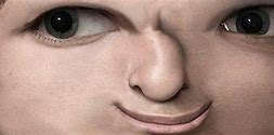 Image result for Lenny Face Realistic