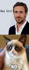 Image result for Grumpy Cat Funny Faces