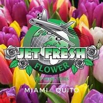 Image result for Golden Jet Rose