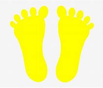 Image result for Foot