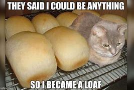 Image result for Loaf Meme