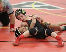 Image result for Kids Wrestling Equipment