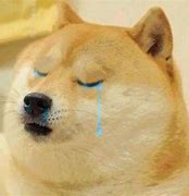 Image result for Crying Animal Meme