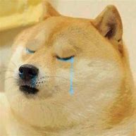 Image result for Dog Cry Meme