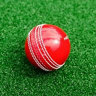 Image result for Cricket Activities