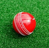Image result for Cricket Clubs for Kids