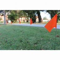 Image result for Marking Flags