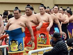 Image result for Wrestling in Japan