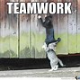 Image result for Best Team Ever Cat Meme