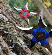 Image result for Ninja Tools and Weapons