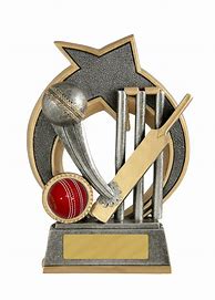 Image result for Female Cricket Trophies