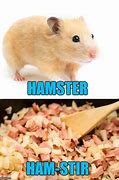 Image result for Broke Hamster Meme
