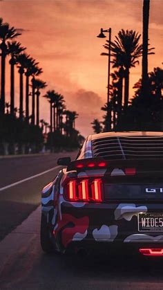 Car Lover : Mustang with plams