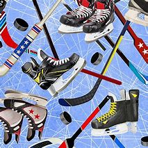 Image result for Ice Hockey Skates