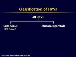 Image result for HPV Scale