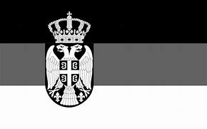 Image result for Serbian Flag ID